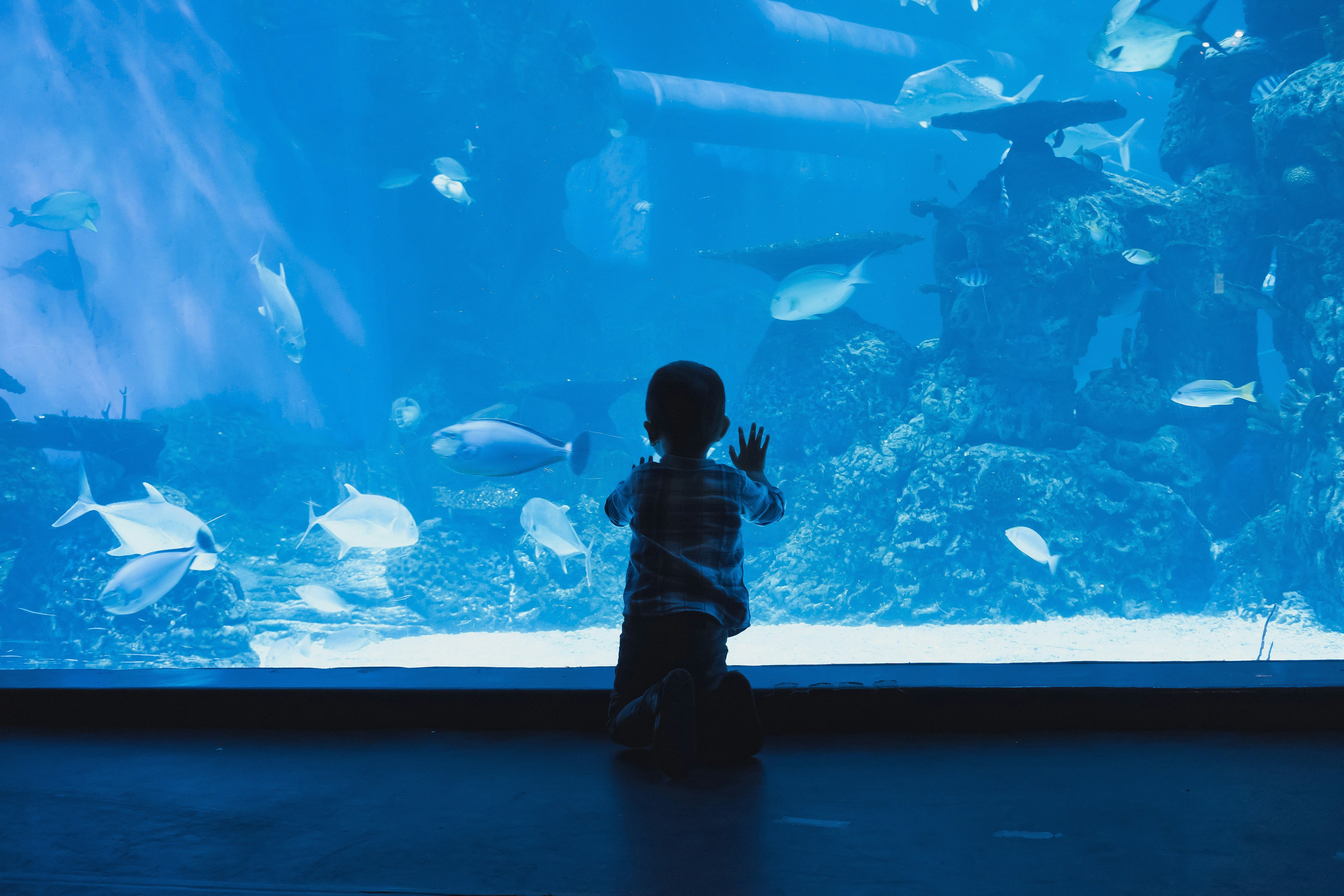 【人與海的距離】海洋博物館存在價值