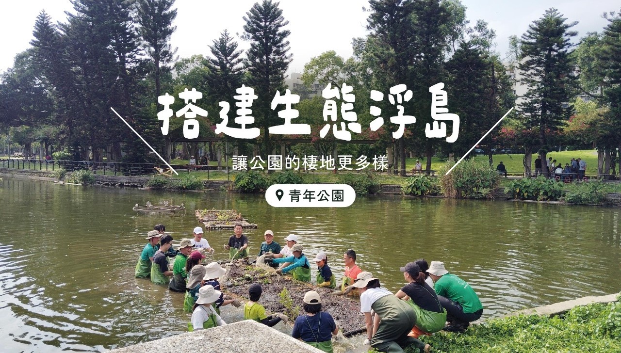 【早安．台灣】搭建生態浮島，營造多元化生態棲息地