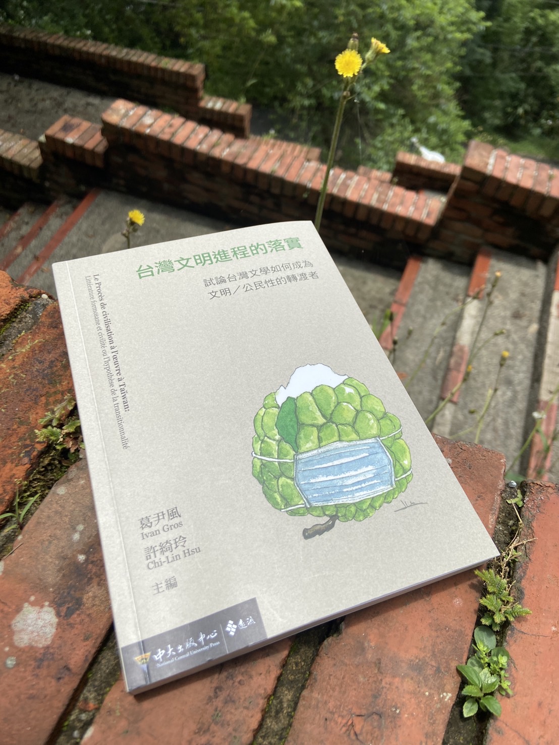 聊聊評論家與小說之間的關聯——讀《台灣文明進程的落實》