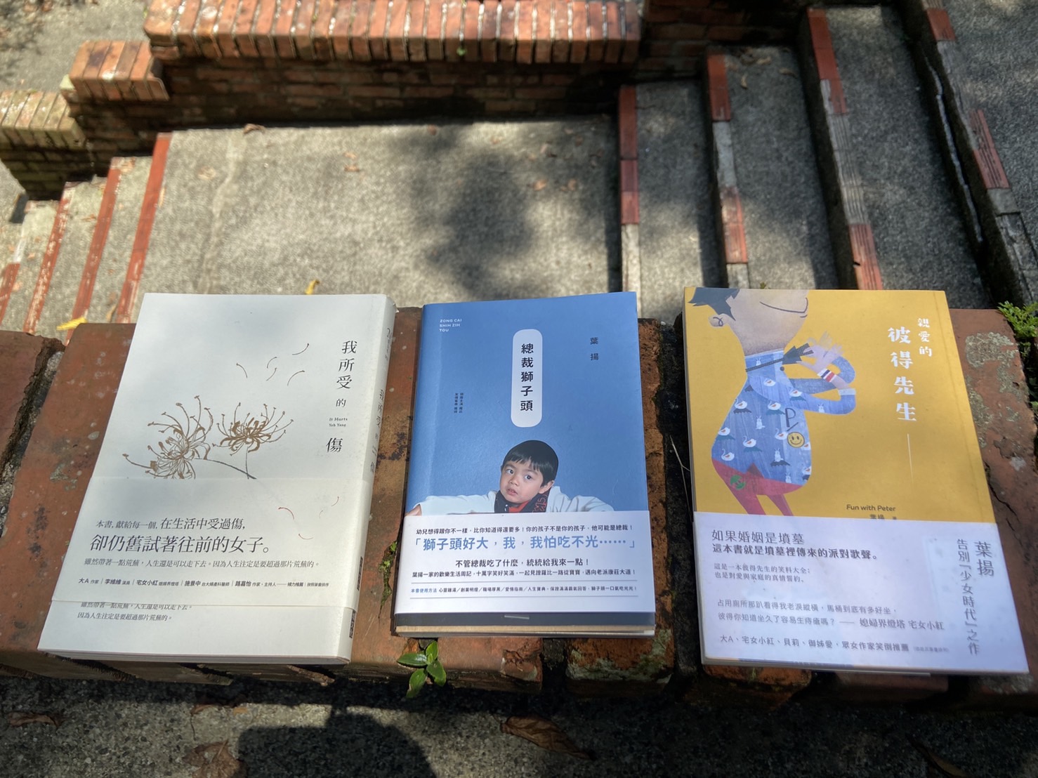 聊聊寫作者挖掘自身題材的書寫——葉揚，以及她的三本書