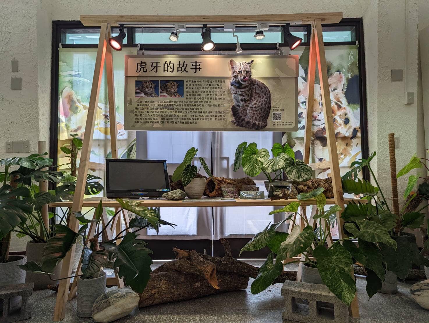 野生動物生命教育楷模：台灣石虎保育協會  守護動物的前線典範