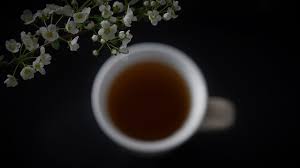 請乾一杯孟婆湯