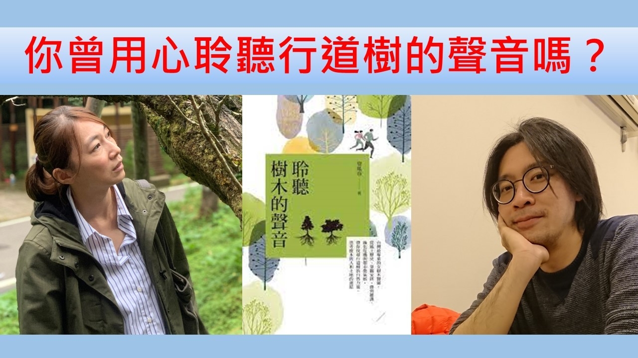 你曾用心聆聽行道樹的聲音嗎？