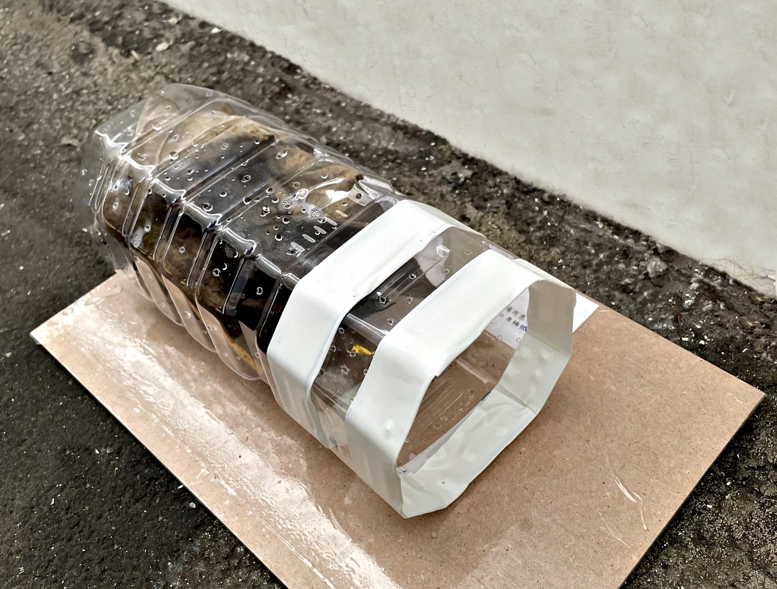 生態廊道 守護搶救大作戰  荒野護蟹有成
