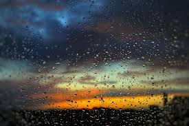 雨中的記持