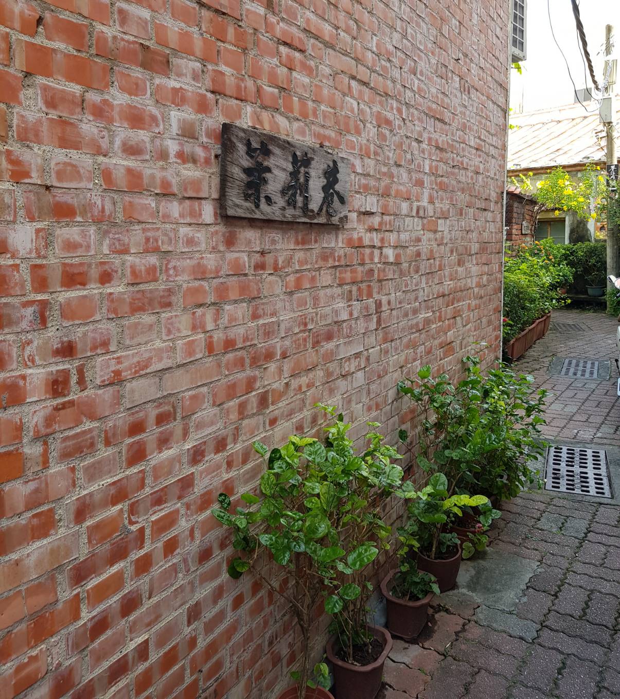 轉來茉莉巷