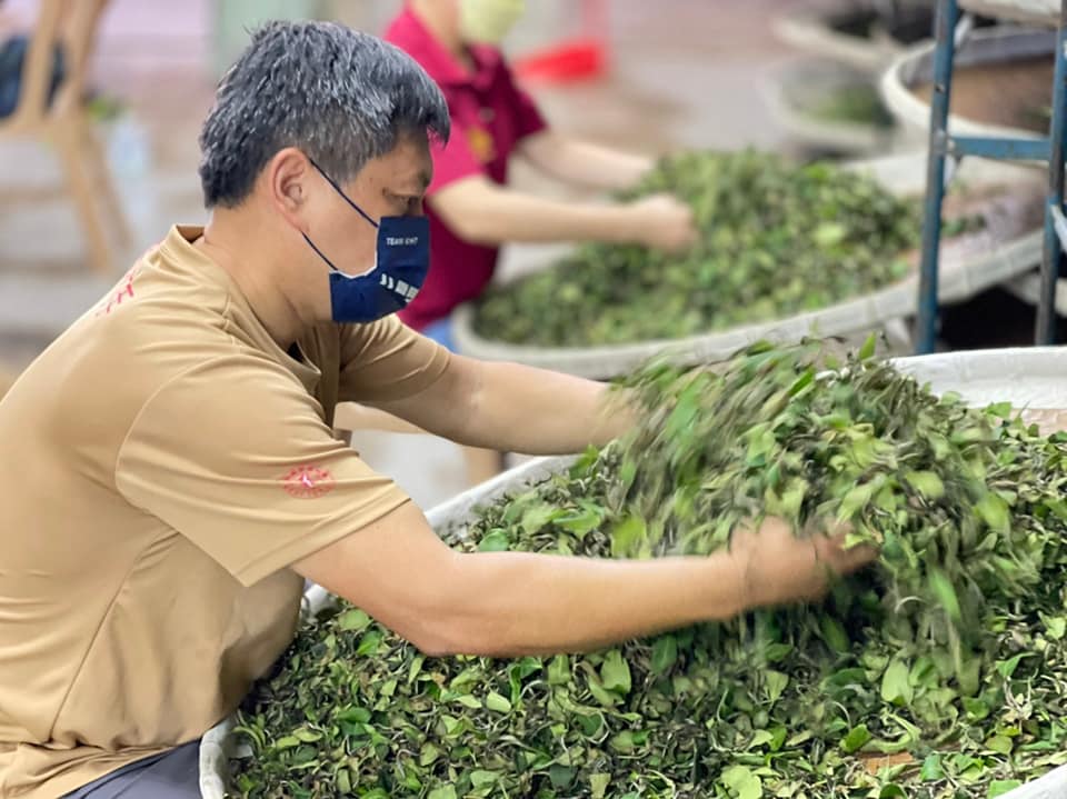 神農獎系列  羅正彬的故事