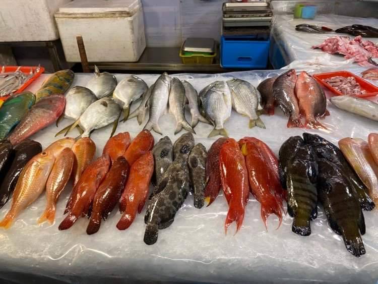年年又有魚