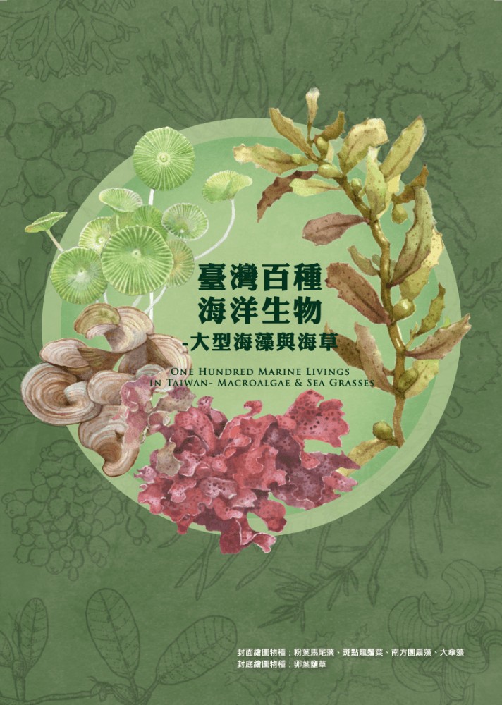 台灣周遭的海藻世界