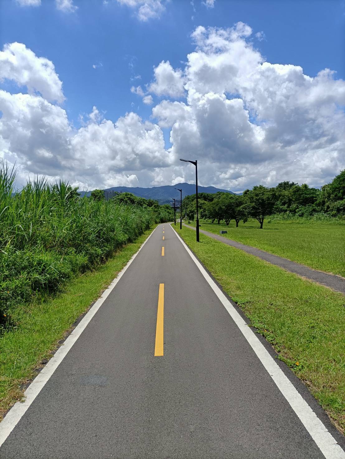跟著老貓 來趟精彩的大台北自行車行程