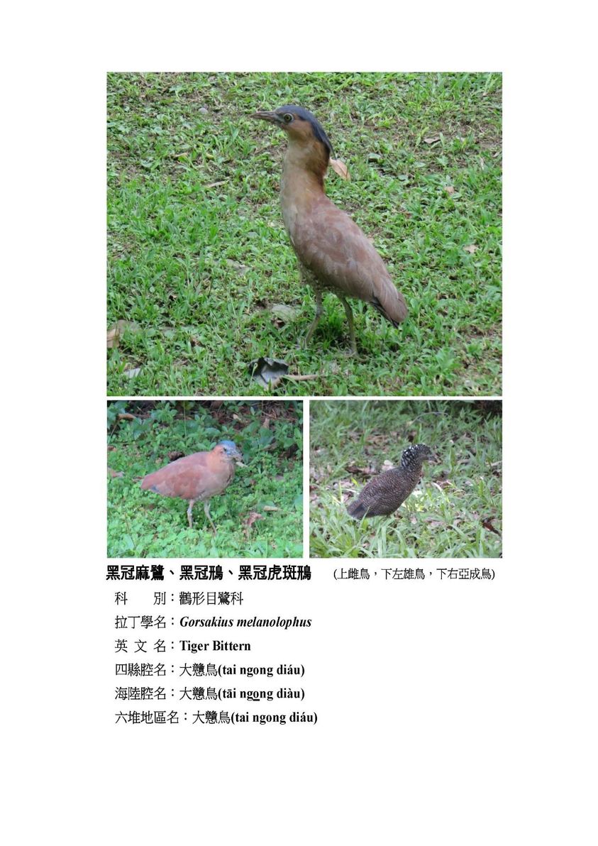 狗問名客家博物館，天文、地理、大自然，用客家話告訴你！