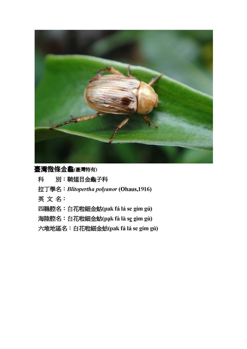 狗問名客家博物館，天文、地理、大自然，用客家話告訴你！