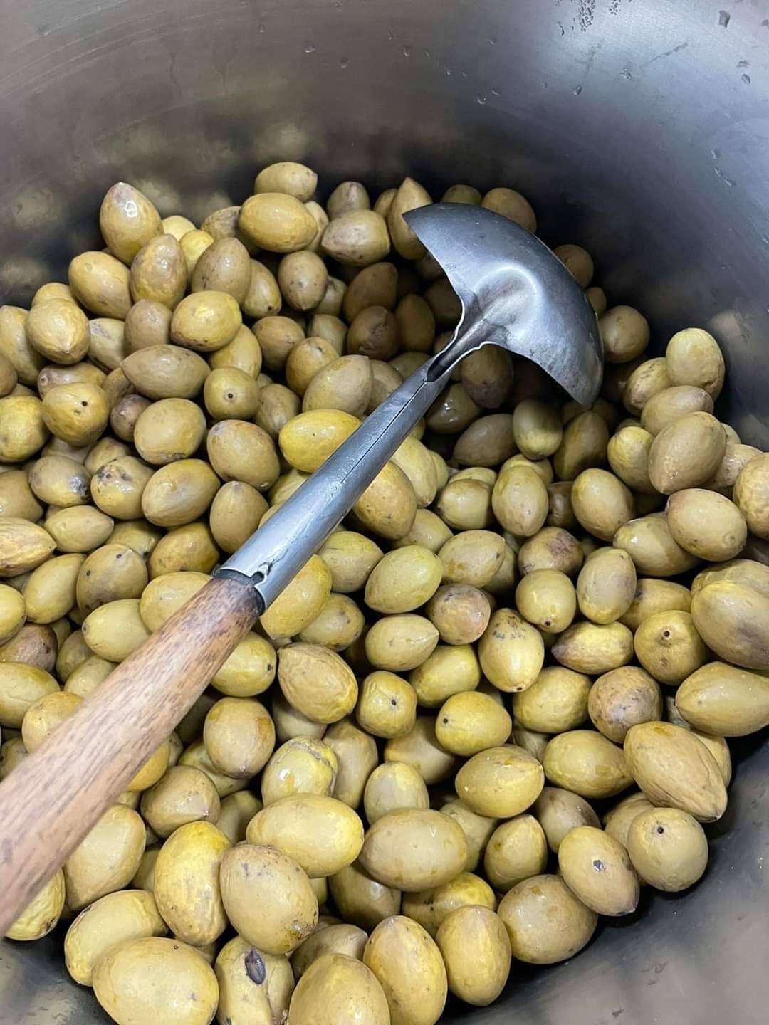 食農教育新體驗，到藏寶鄉探究綠寶石的秘密