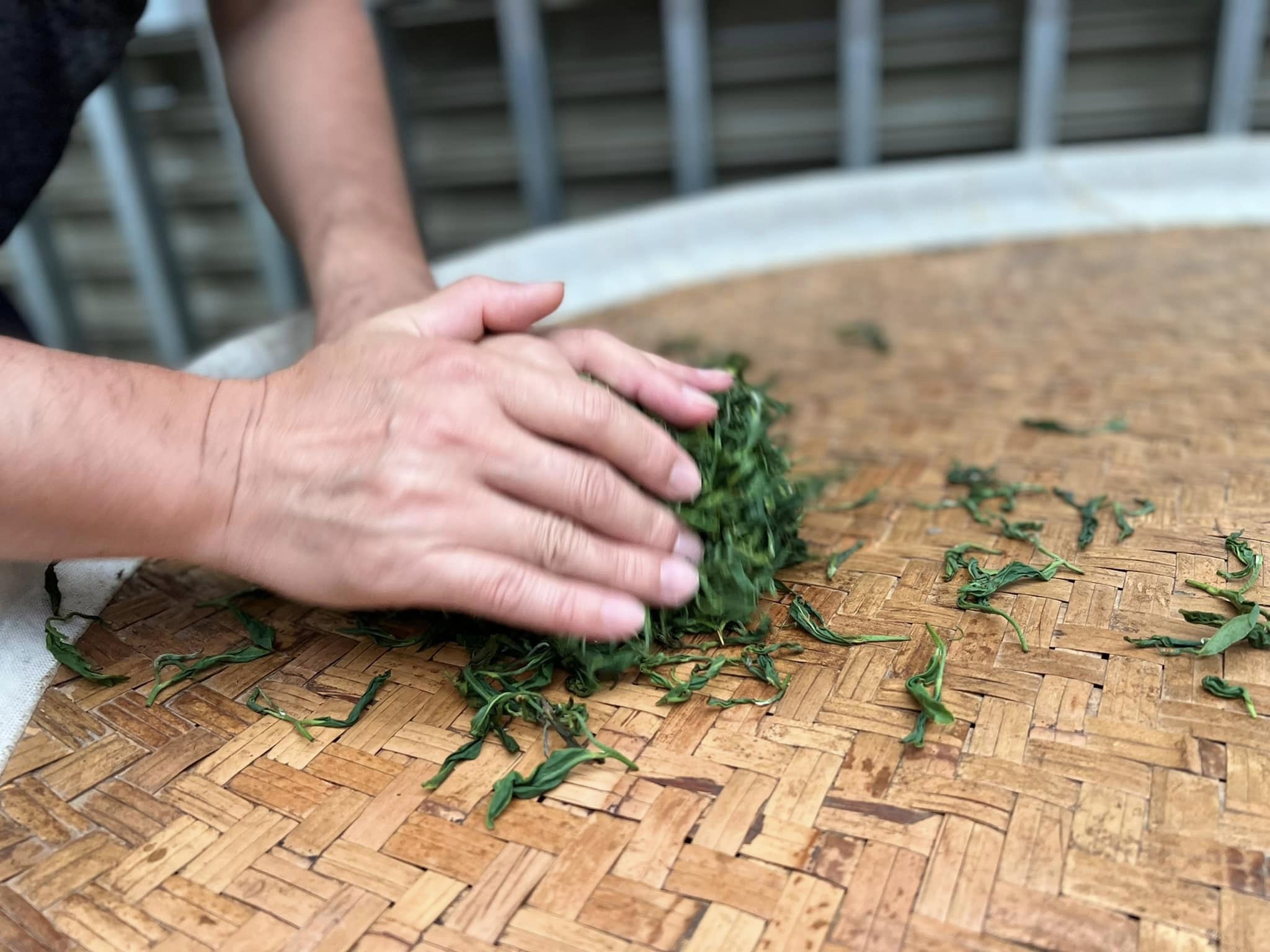 有茶有心香  黃昶銪的故事