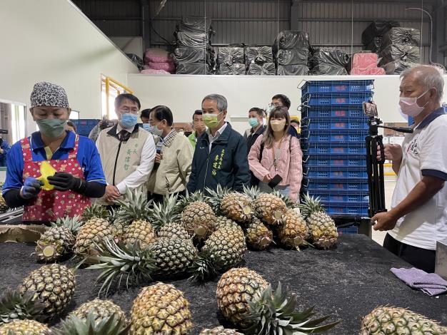 臺南鳳梨銷日有夠讚