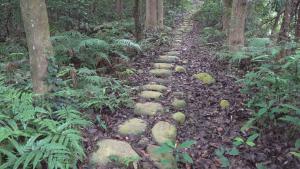 苗栗樂活通霄 福和里山-山林之療
