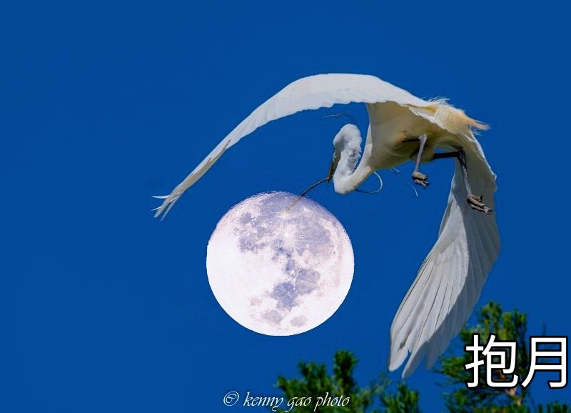 每逢佳節人更圓 開胃共此時