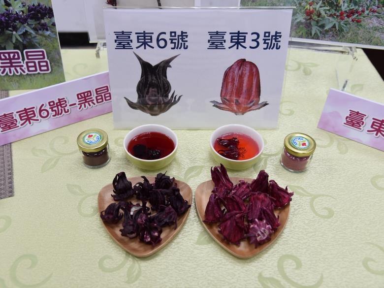 洛神葵新篇章 台東六號黑晶