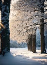 冬雪與春寒