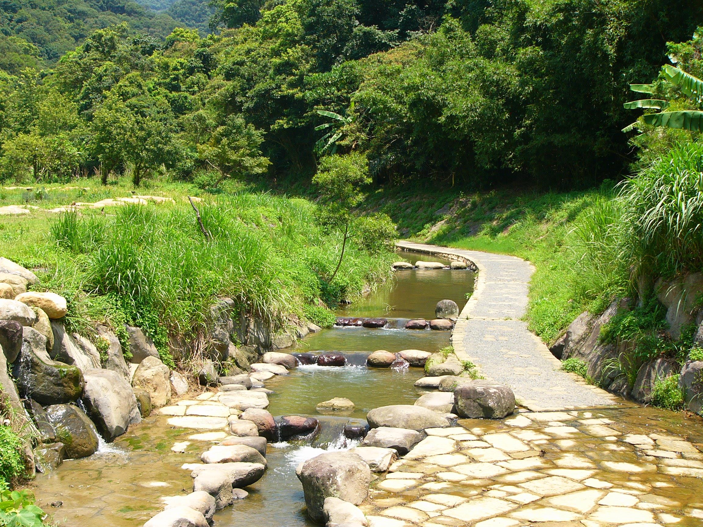 臺北大溝溪生態治水園區 花團錦簇喜迎客
