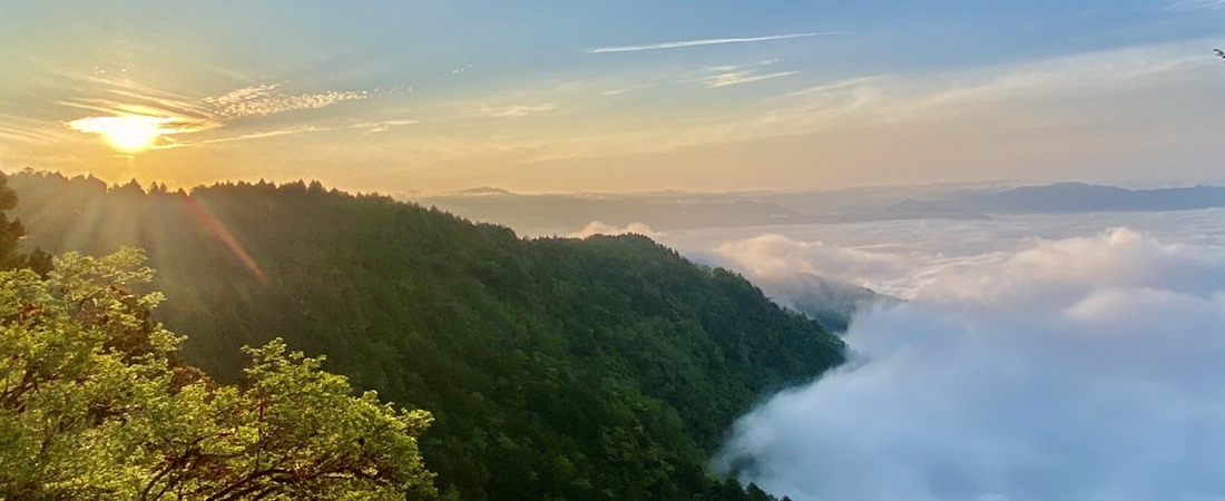 夏之旅 太平山賞鳥看日出