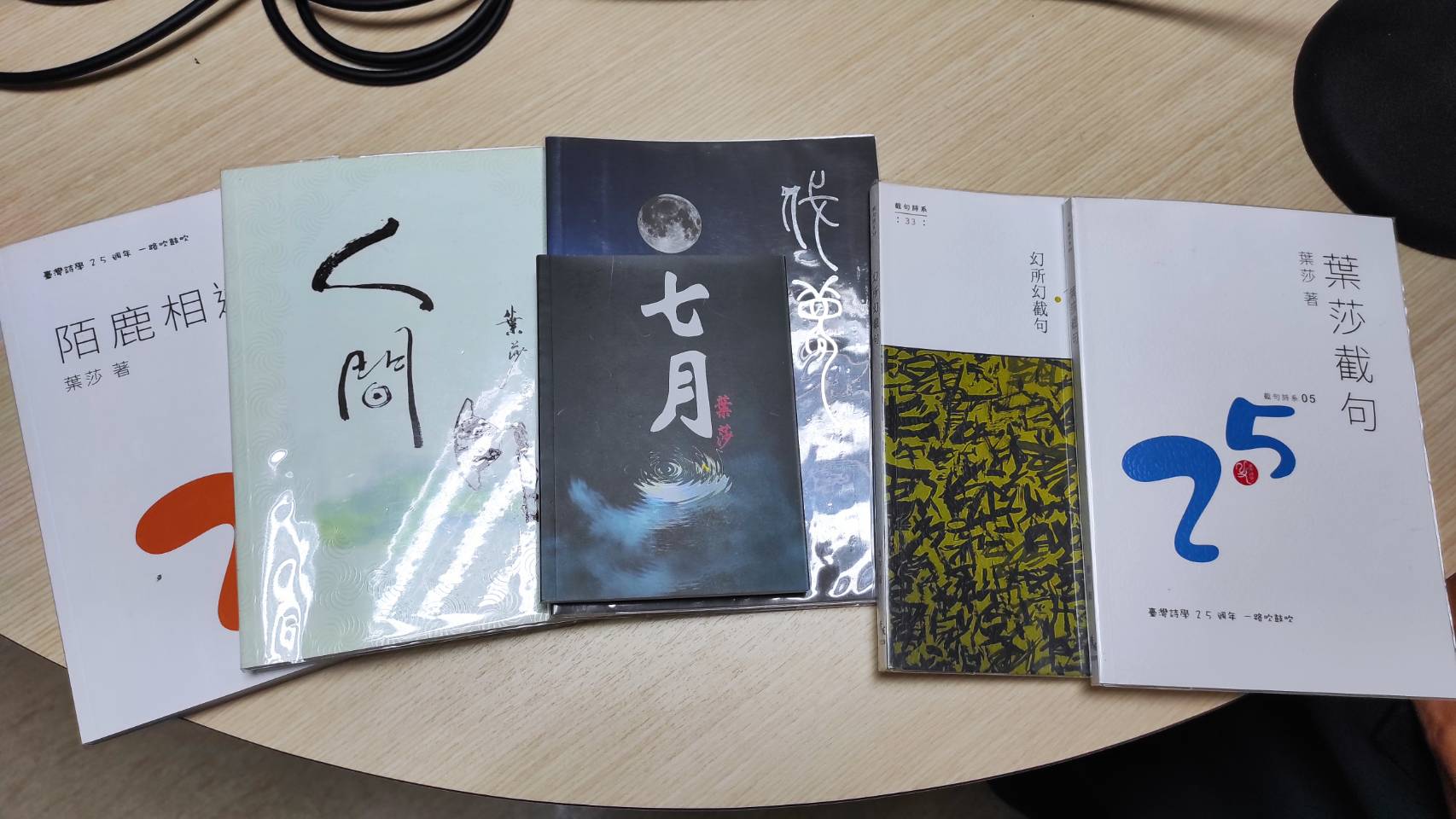 從新加坡紅回台灣，非典型的客籍詩人葉莎，詩於葉莎，是藥也是路（下）