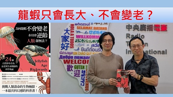 龍蝦只會長大、不會變老？