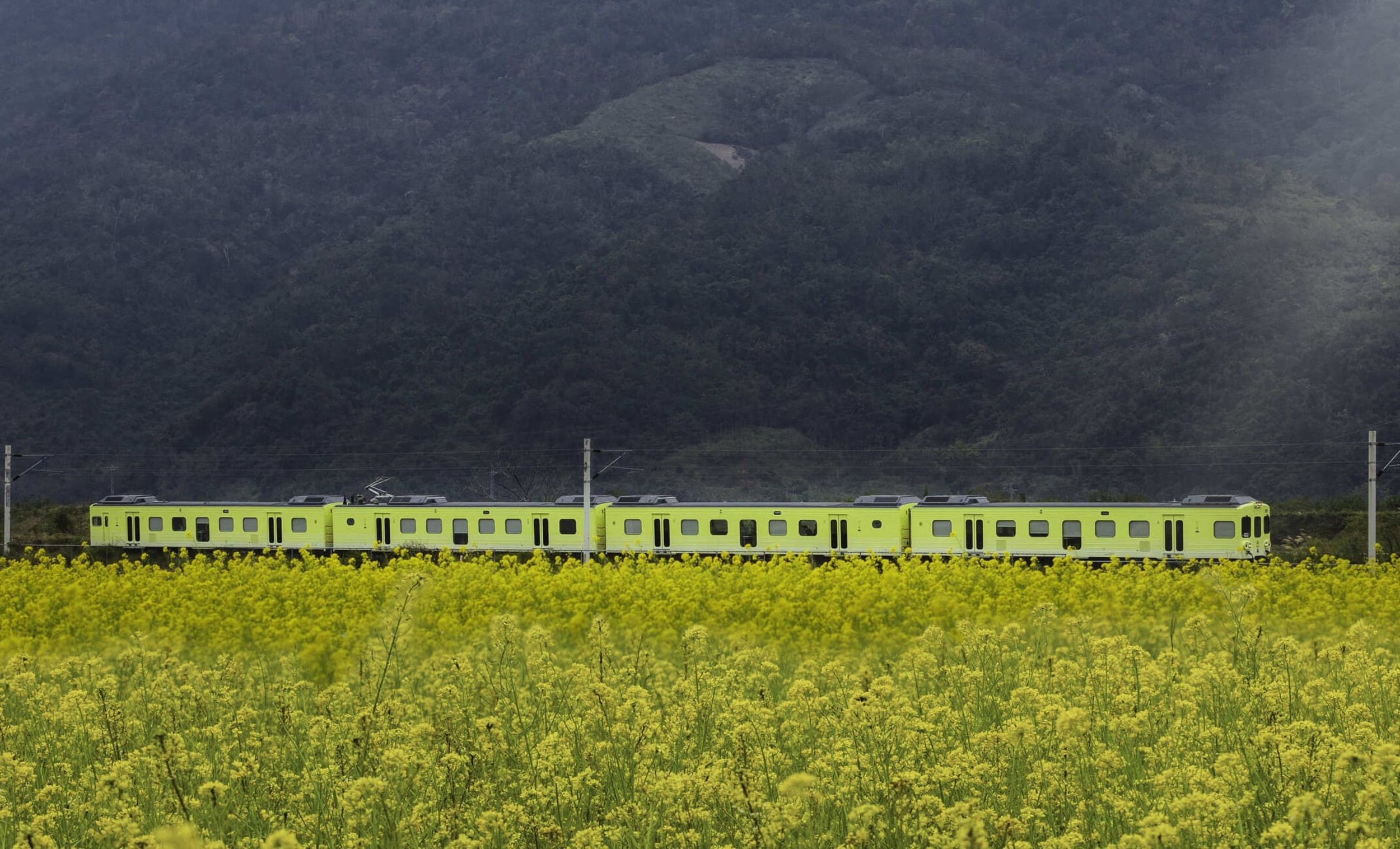 「山嵐號」鐵道之旅 深遊花東 走訪縱谷秘境車站
