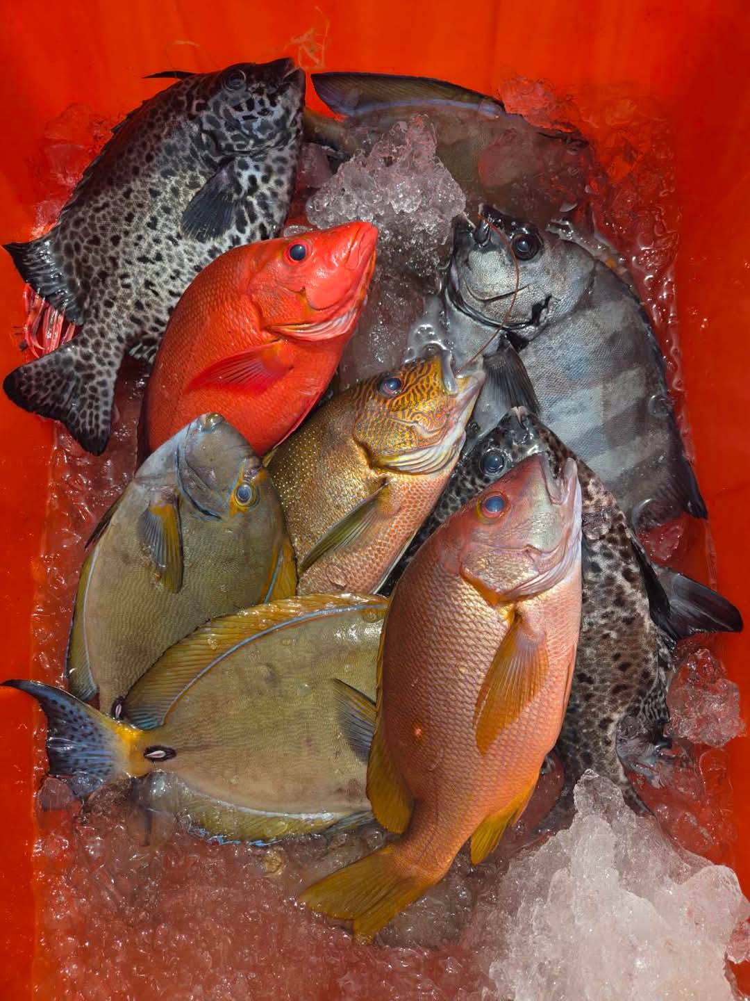 臺灣海鮮飲食文化