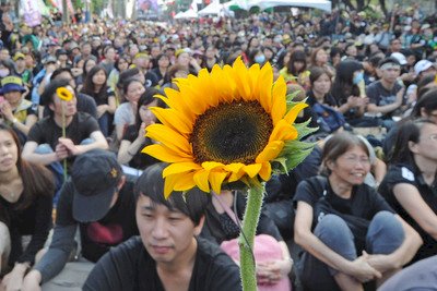 與中國重啟服貿 難道是患了斯德哥爾摩症候群？