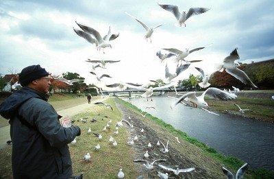 老鷹想飛全台走透透 環境教育全民運動