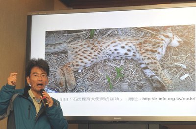 石虎保育不用天價環評 環團盼放石虎生路