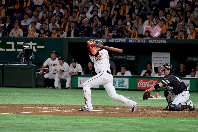 陽岱鋼連3場敲安 菅野智之10勝到手