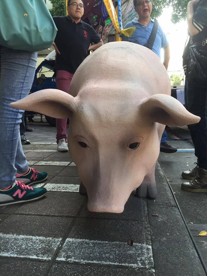 食安疑慮未解 豬協反對瘦肉精豬進口