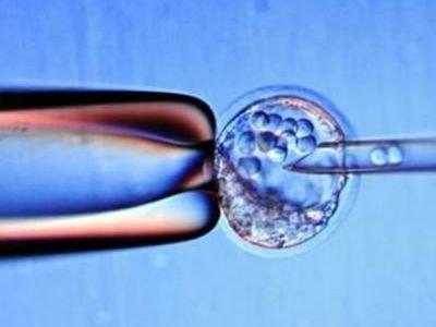 人類胚胎基改研究 美首度執行獲新突破