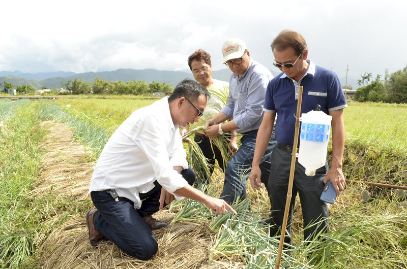 全台農損破2億 宜蘭受災最為嚴重