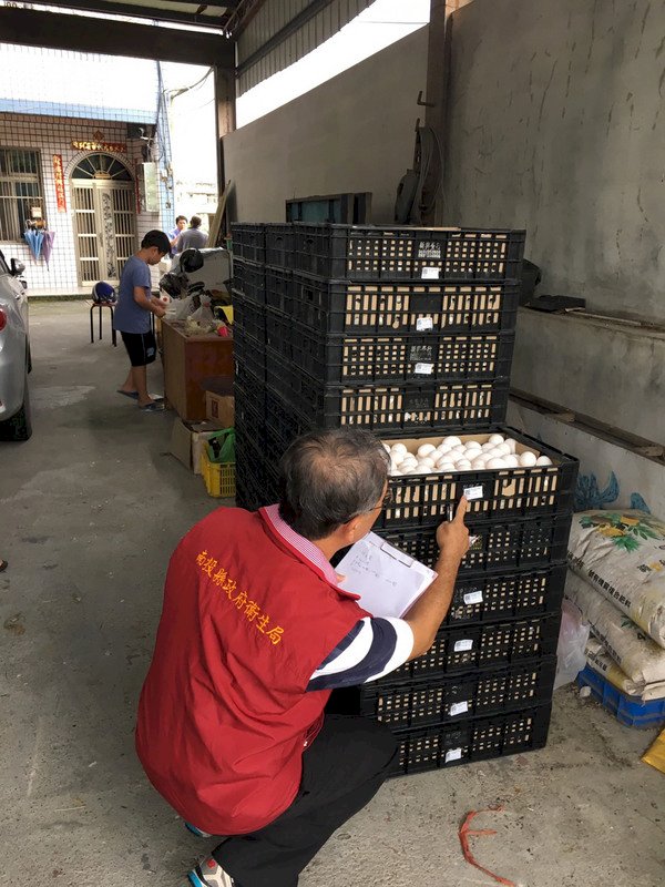 芬普尼雞蛋事件 時力籲檢討食安機制