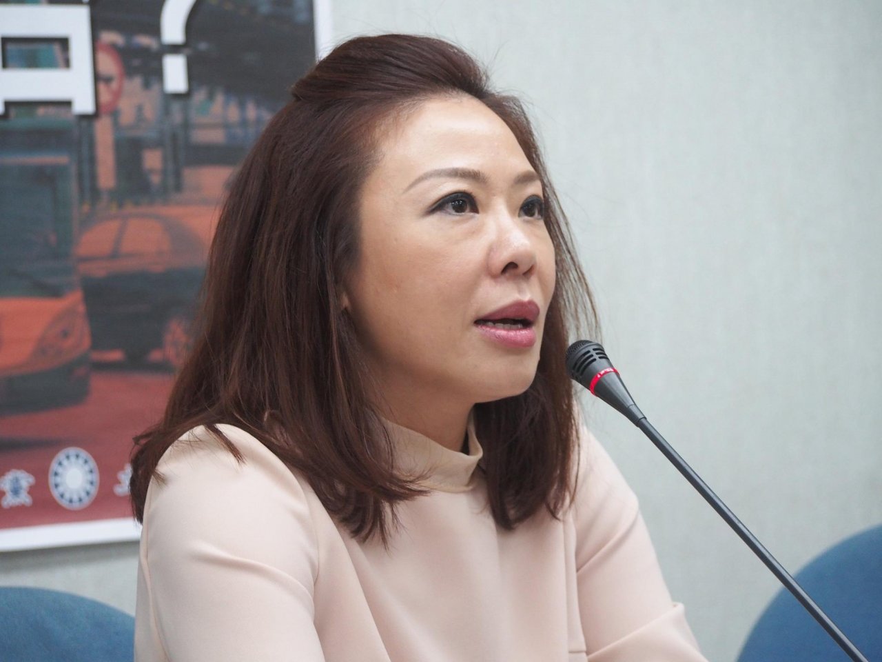 綠委提修憲案 在野黨強調須充分溝通