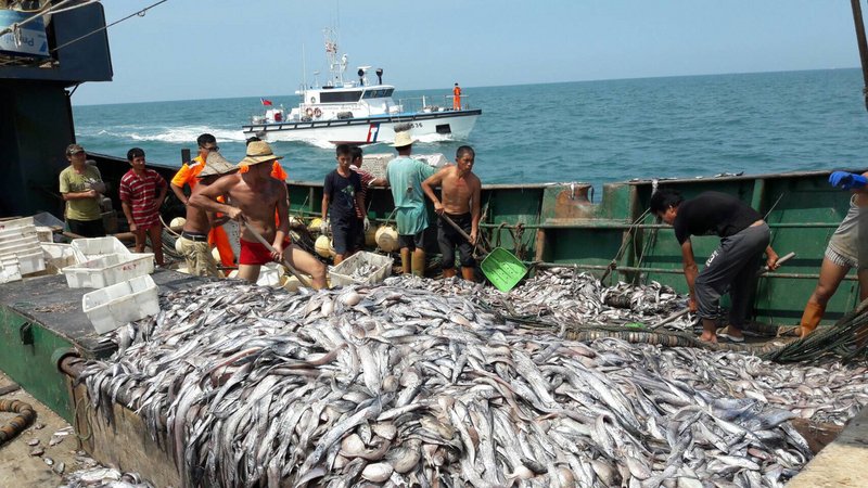 中國漁船越界捕魚 海巡押回15人偵辦
