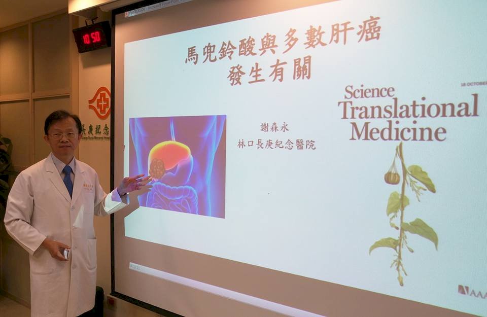 可怕馬兜鈴酸 與8成肝癌相關