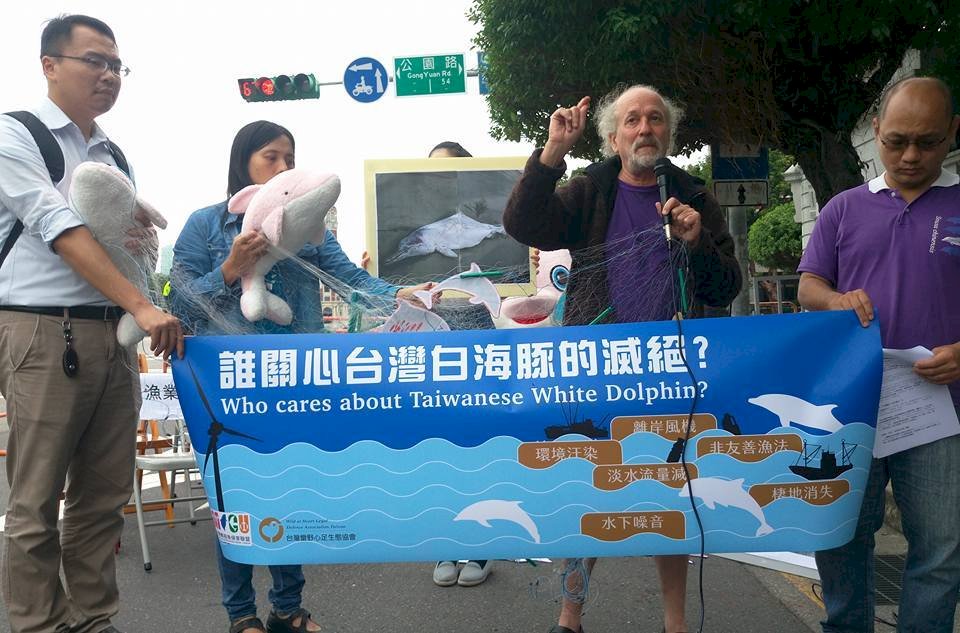 離岸風機開發 環團憂危白海豚生存