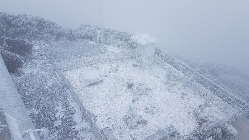 冷氣團發威 玉山又降雪