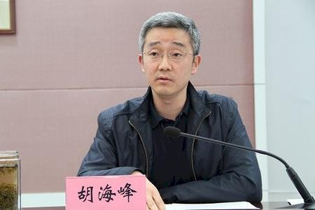 胡錦濤子胡海峰 首次亮相北京兩會
