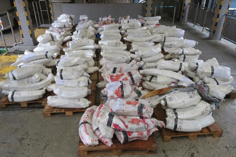 曾是象牙最大市場 中國將禁加工買賣