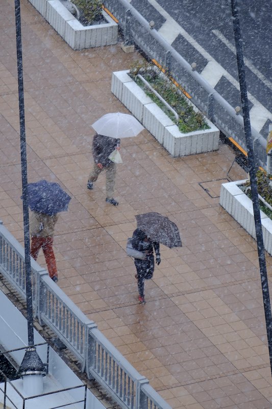 東京傍晚可望降大雪 部分交通已受影響