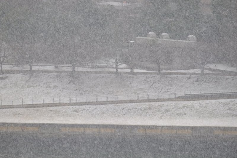 日本大雪 日媒：一名台灣人車禍喪生