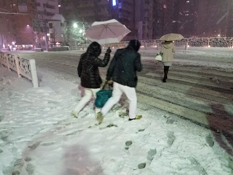 東京大雪將衝擊交通 日本政府籲避免非必要外出