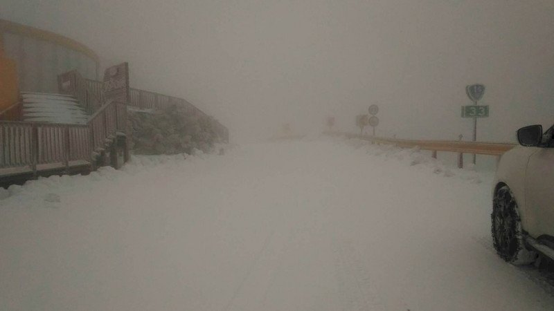合歡山凍成銀白雪國 賞雪車停滿武嶺