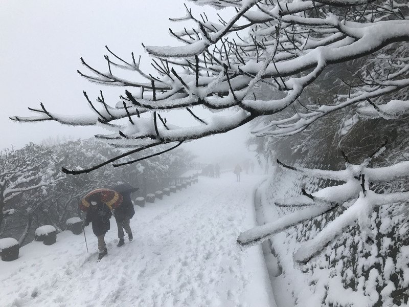 凍到7日清晨 週五可望重見暖陽