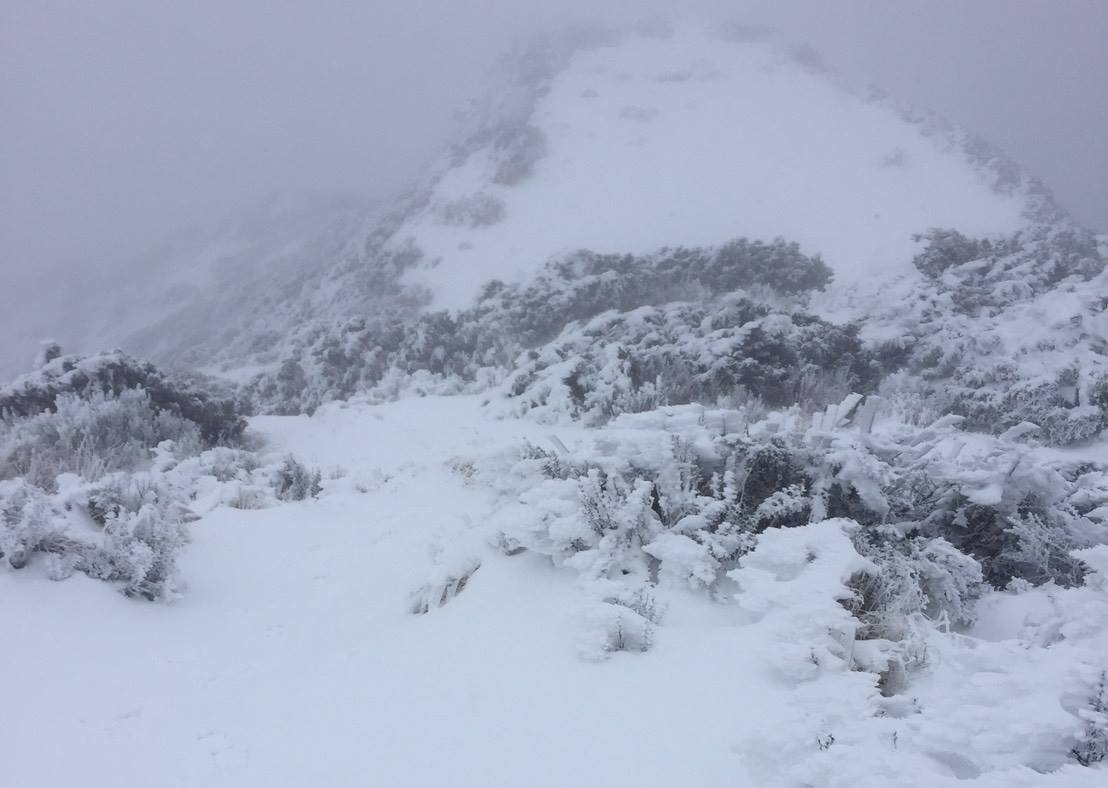 玉山積雪9.5公分 氣象局發布低溫特報